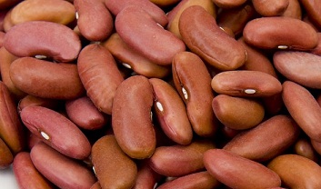 Kidney Beans, Beans